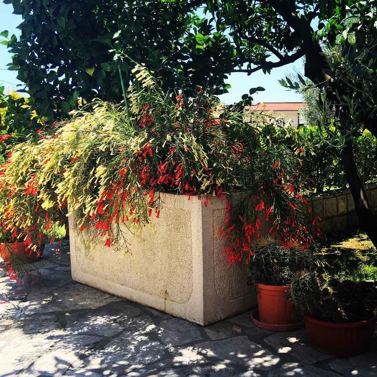 Apartments Medin Danilo Петровац Экстерьер фото